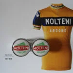 Molteni handlebar end plugs